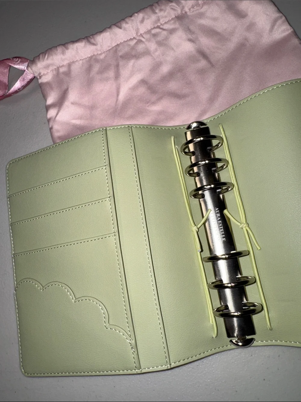 Aura Estelle planner folder + surprises